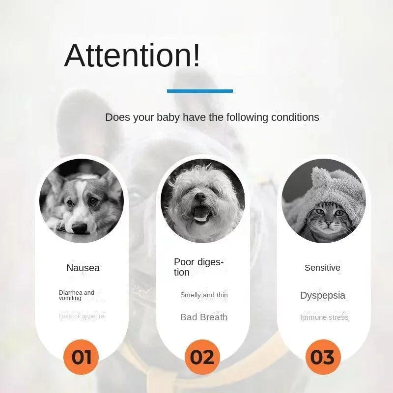 Pet probiotics regulate stomach and enhance appetite cats and dogs general diarrhea constipation vomiting