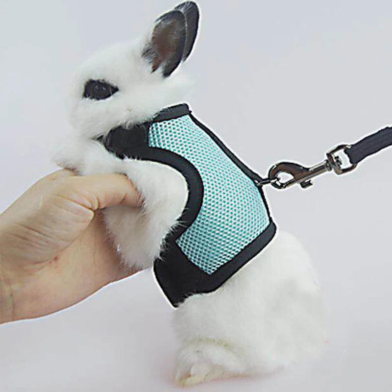 Mesh Breathable Pet leash Ferret Leash Set for Small Animals Rabbit Hamsters Summer Walking Pet Lead mascotas Accessories
