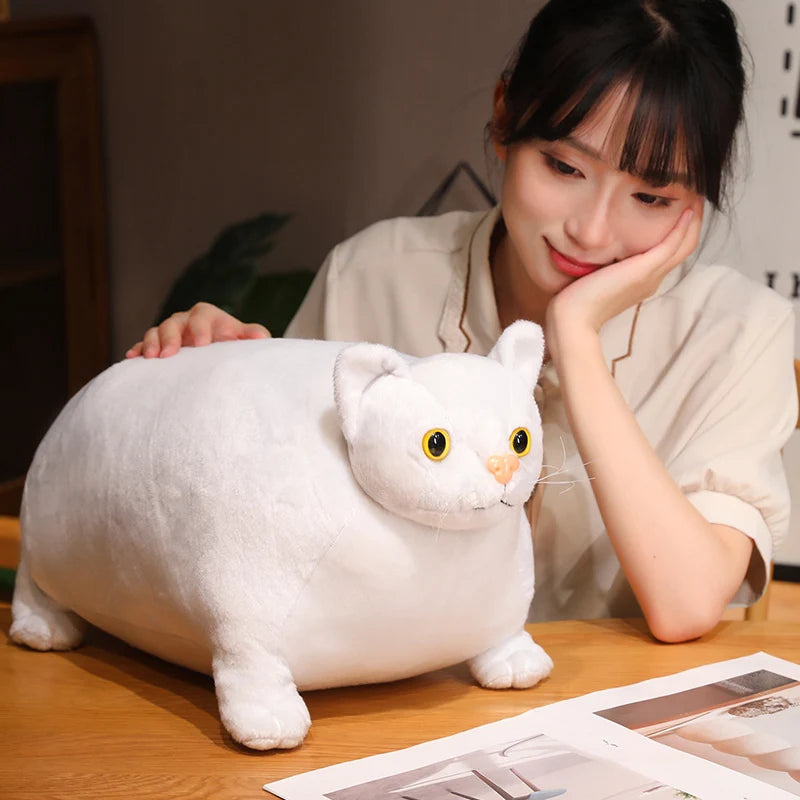 30/50cm Chubby Fat Cat Plushie Toy 3D Simulation Little Head Big Body Animal Doll Huggable Pillow Home Decoration
