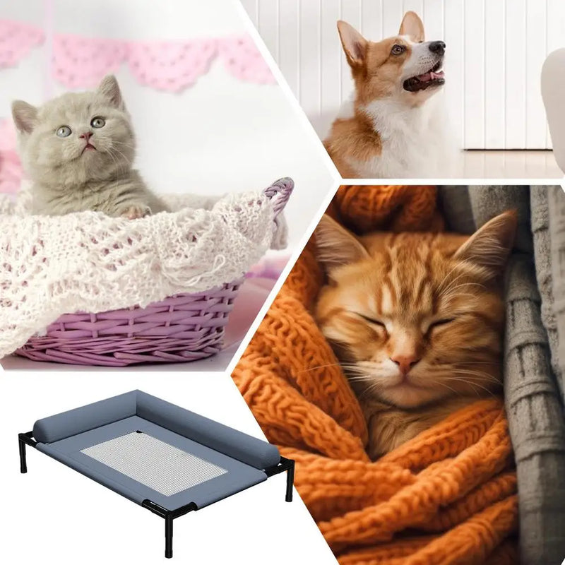 Dog Cot Outdoor Dog Bed With Pillow And Breathable Mesh Removable Pet Furniture For Cat Patio Sunbathing Travel Training Home