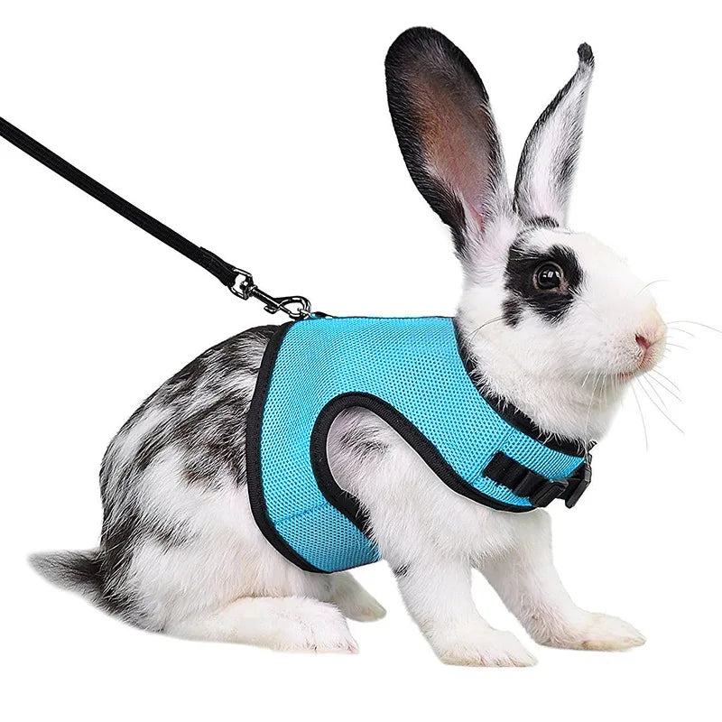 Mesh Breathable Pet leash Ferret Leash Set for Small Animals Rabbit Hamsters Summer Walking Pet Lead mascotas Accessories