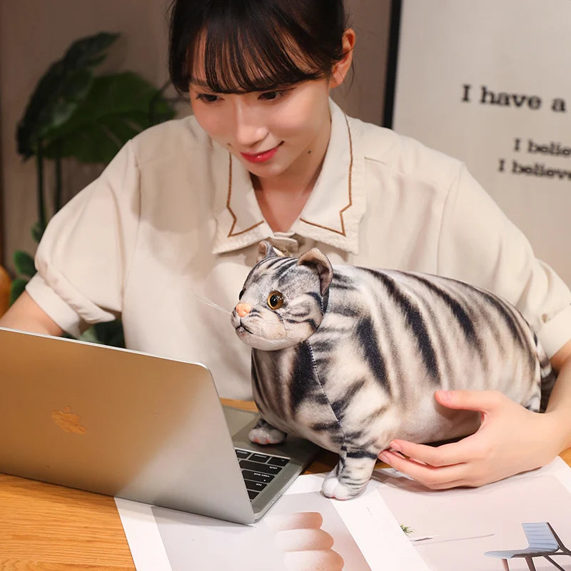 30/50cm Chubby Fat Cat Plushie Toy 3D Simulation Little Head Big Body Animal Doll Huggable Pillow Home Decoration