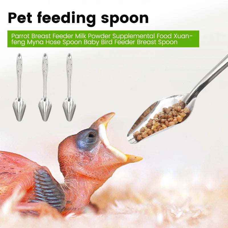1-10 Pcs Bird Feeder Spoons Portable Aluminum Feeding Supplies Baby Bird Parrot Feeding Milk Spoon Birds Durable Care Tool