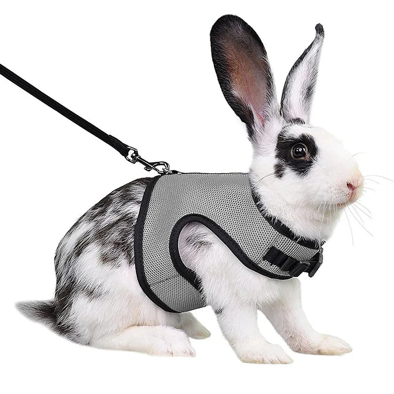Mesh Breathable Pet leash Ferret Leash Set for Small Animals Rabbit Hamsters Summer Walking Pet Lead mascotas Accessories