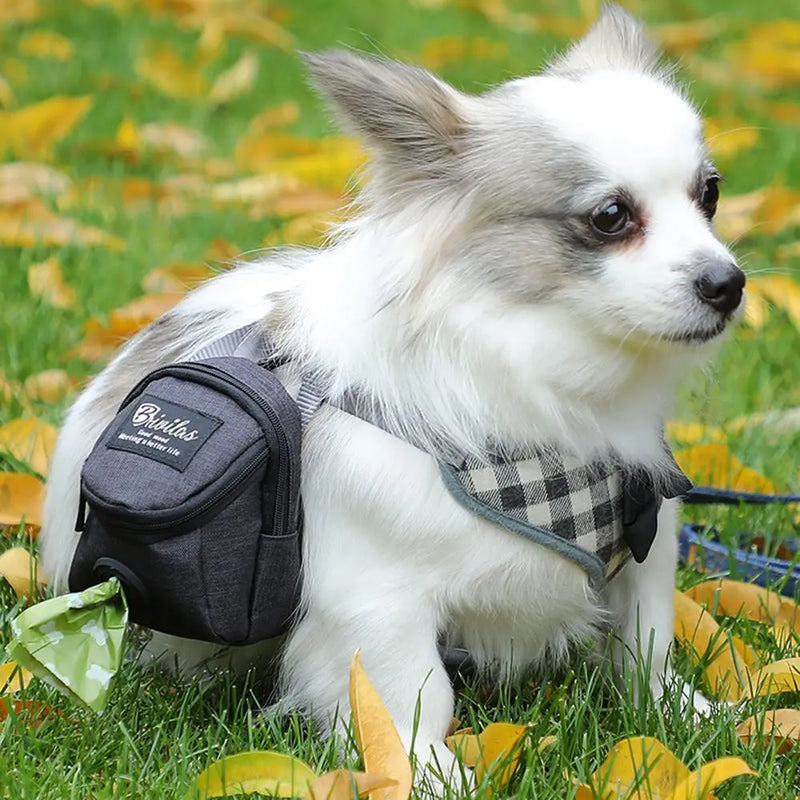 Pet Accessories Portable Dogs Waste Bags With Hook Dog Treat Pouch Dog Training Bag Pet Waste Bag Dispenser Dog Poop Bag Holder