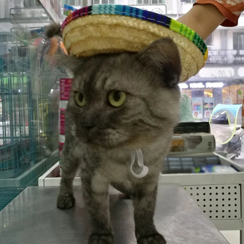 Cute Puppy Dog Cat Straw Woven Sun Hat Cap Mexican Sombrero Pet Supplies Accessories