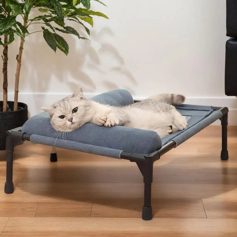 Dog Cot Outdoor Dog Bed With Pillow And Breathable Mesh Removable Pet Furniture For Cat Patio Sunbathing Travel Training Home