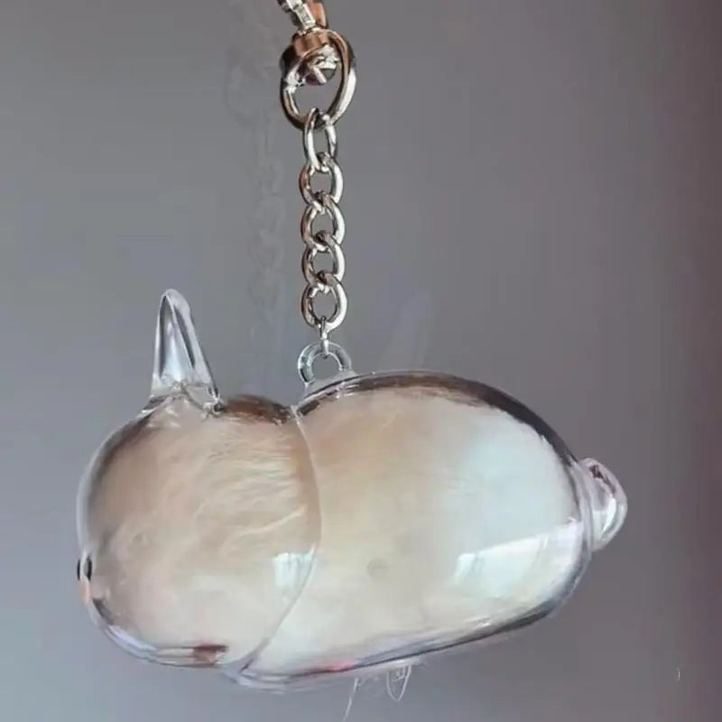 Pet Hair Transparent Rabbit Hair Organizer Pendant Keychain Backpack Souvenirs Storage Capsule Pet Memorial Collection Bag