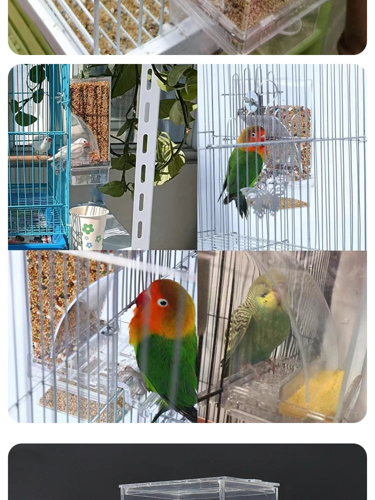 Parrot Bird FeederSpill-proof Automatic DispenserSplash-proof Outside FeederBird FeederTiger PeonyPhoenixBird Supplies