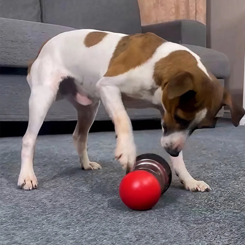 Interactive Dog Toy for Small Large Dogs Cats Treat Dispenser Leaking Food Slow Feeder Pets Ball Toys Training Labrador Supplies