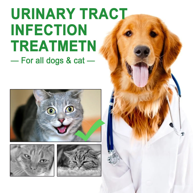 Pet Care Drops specially formulated for cats and dogs To Ease Pain And Discomfort In Cats And Dogs, Pet Care Solution 60ml