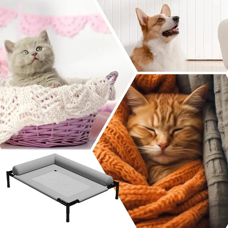 Dog Cot Outdoor Dog Bed With Pillow And Breathable Mesh Removable Pet Furniture For Cat Patio Sunbathing Travel Training Home