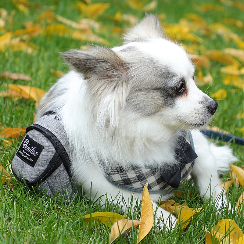 1PC Pet Multi Functional Dog Walking Bag Portable Training Bag Outdoor Outing Garbage Bag Storage Bag Snack Bag