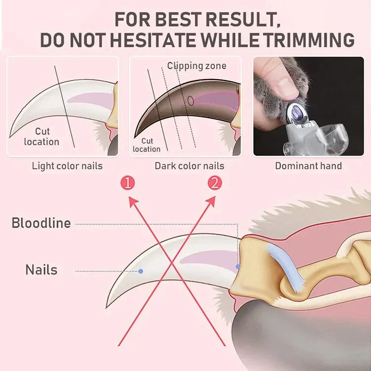 Professional Pet Nail Clipper Scissors With LED Light Cat Dog Nail Clippers Tool Scissors Nail Toeclaw Cutter Scissors for Pet