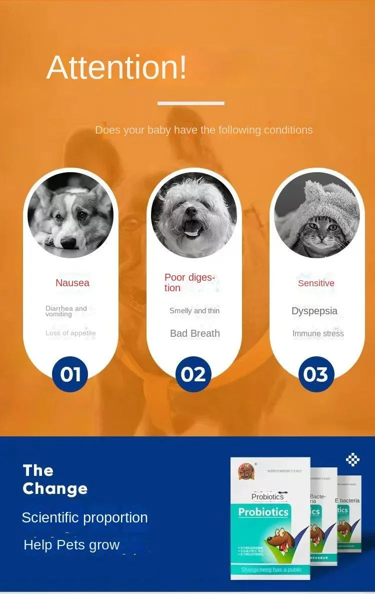 Pet probiotics regulate stomach and enhance appetite cats and dogs general diarrhea constipation vomiting