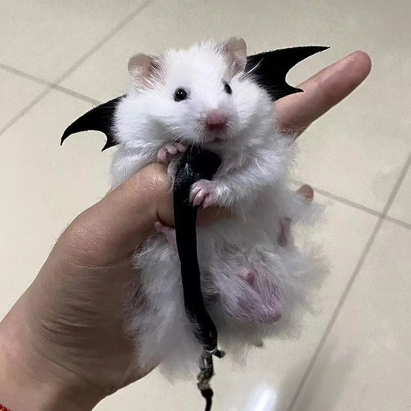 Hamster Traction Rope Anti Escape and Anti Bite Rope Golden Wire Bear Honey Bag Flying Squirrel Small Pet Accessories Cute Item
