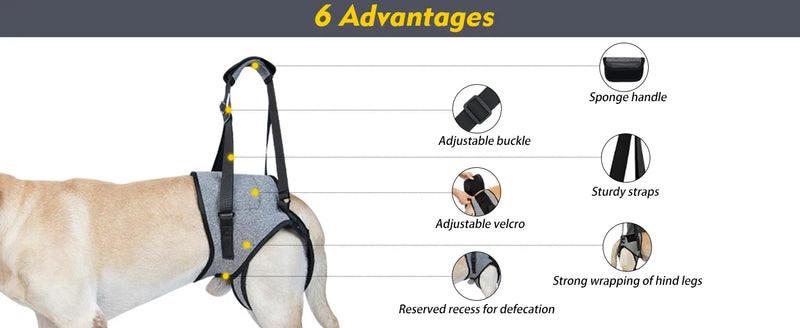 Dog Leg Strap Disability Brace Help Walking Harness Auxiliary Belt For Recovery Postoperative Rehabilitation Dog Accessoires