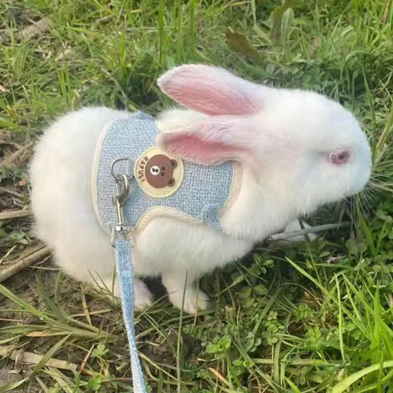 Cartoon Print Cat Rabbit Harness and Leash Set Bunny Rabbits Pet Accessories Bunnies Vest Clothes lapin accessoires pour animaux