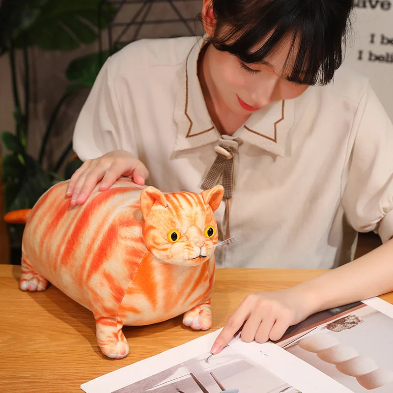 30/50cm Chubby Fat Cat Plushie Toy 3D Simulation Little Head Big Body Animal Doll Huggable Pillow Home Decoration