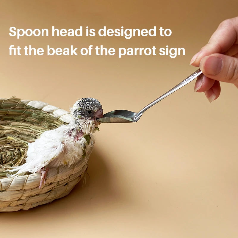 1-10 Pcs Bird Feeder Spoons Portable Aluminum Feeding Supplies Baby Bird Parrot Feeding Milk Spoon Birds Durable Care Tool