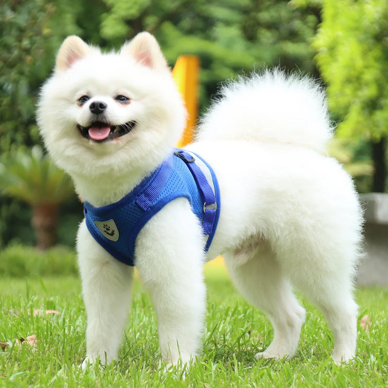 Reflective Safety Pet Dog Harness and Leash Set for Small Medium Dogs Cat Harnesses Vest Puppy Chest Strap Pug Chihuahua Bulldog