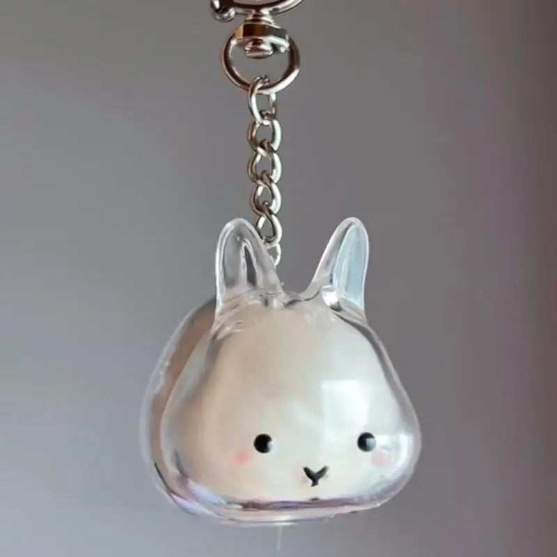 Pet Hair Transparent Rabbit Hair Organizer Pendant Keychain Backpack Souvenirs Storage Capsule Pet Memorial Collection Bag