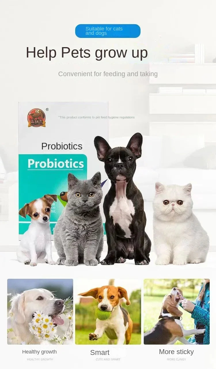Pet probiotics regulate stomach and enhance appetite cats and dogs general diarrhea constipation vomiting