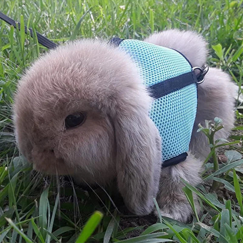 Mesh Breathable Pet leash Ferret Leash Set for Small Animals Rabbit Hamsters Summer Walking Pet Lead mascotas Accessories