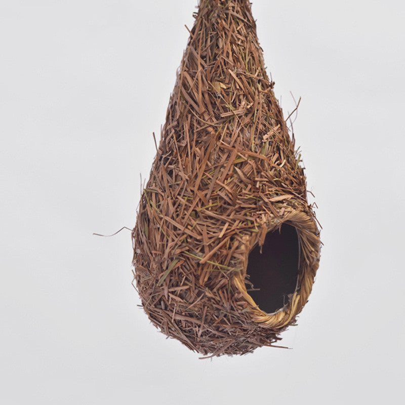 Small bird nest