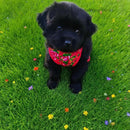 Dog Cat Clothes Pet Apparel Premium Lightweight Summer Pet Vest Breathable Chinese Inspired Design With Bold Floral Pattern For Small Medium Dogs And Cats Stylish Comfortable Warm Weather Apparel Luxu