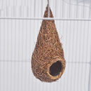 Small bird nest