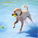 Pet GPS Global Locator Health Monitoring