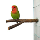 Bird Standing Frame / bird chew toy