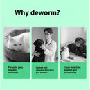 Dog flea &Tick Chews
